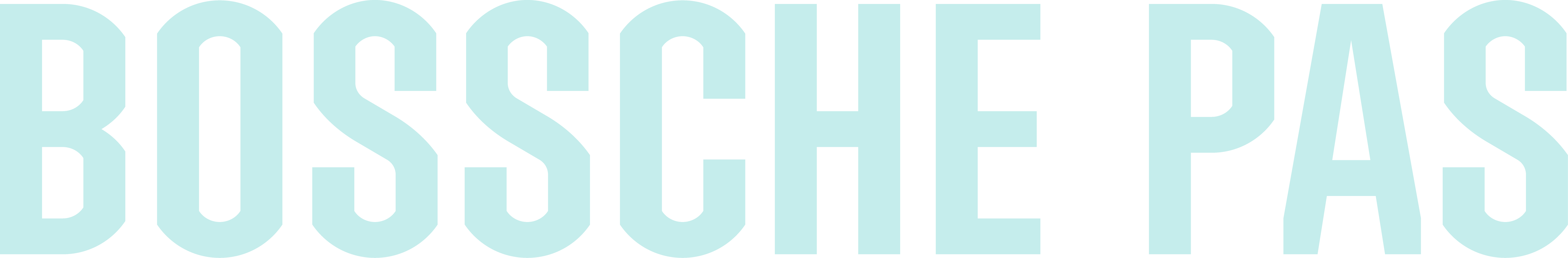 Logo Bosschepas